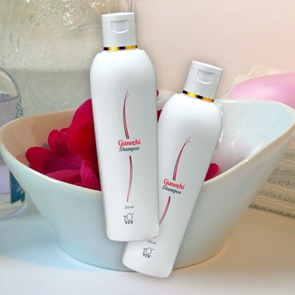 Šampon